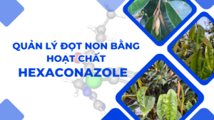 CHI TIẾT ĐÍNH KÈM quan-ly-dot-non-bang-hoat-chat-hexaconazole-1