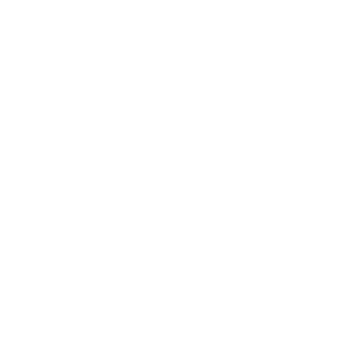 Ariplus Logo Light